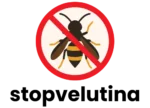 stopvelutina